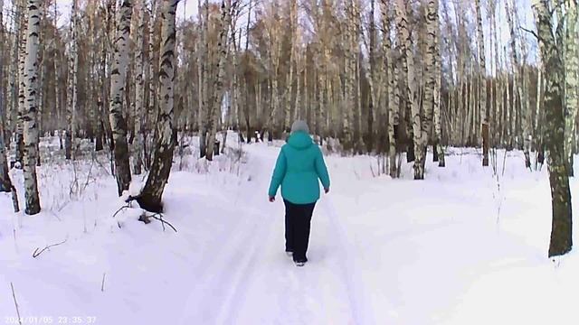 Наш пеший мини поход в зимний лес смотреть онлайн