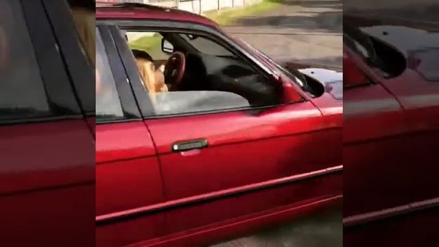 Bmw e34 4.4 смотреть онлайн