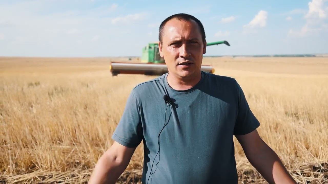 Очесывающая жатка "ОЗОН" ПАО "ПЕНЗМАШ" на одном поле с аналогами. смотреть онлайн