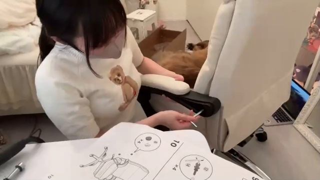 2025年01月15日 引っ越ししました〜！(Lv346787914) のあ 001 смотреть онлайн