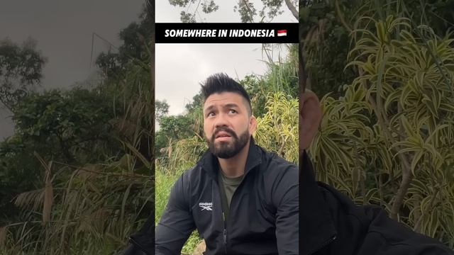 Новые мастера. смотреть онлайн