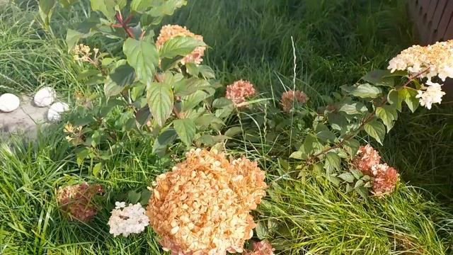 В гостях.Часть 1.