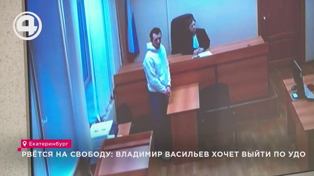 Рвётся на свободу: Владимир Васильев хочет выйти по УДО смотреть онлайн
