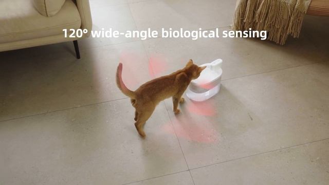 PET MARVEL | PET WATER FOUNTAIN MINI смотреть онлайн