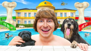 Я построил пятизвездочный отель для собак!
