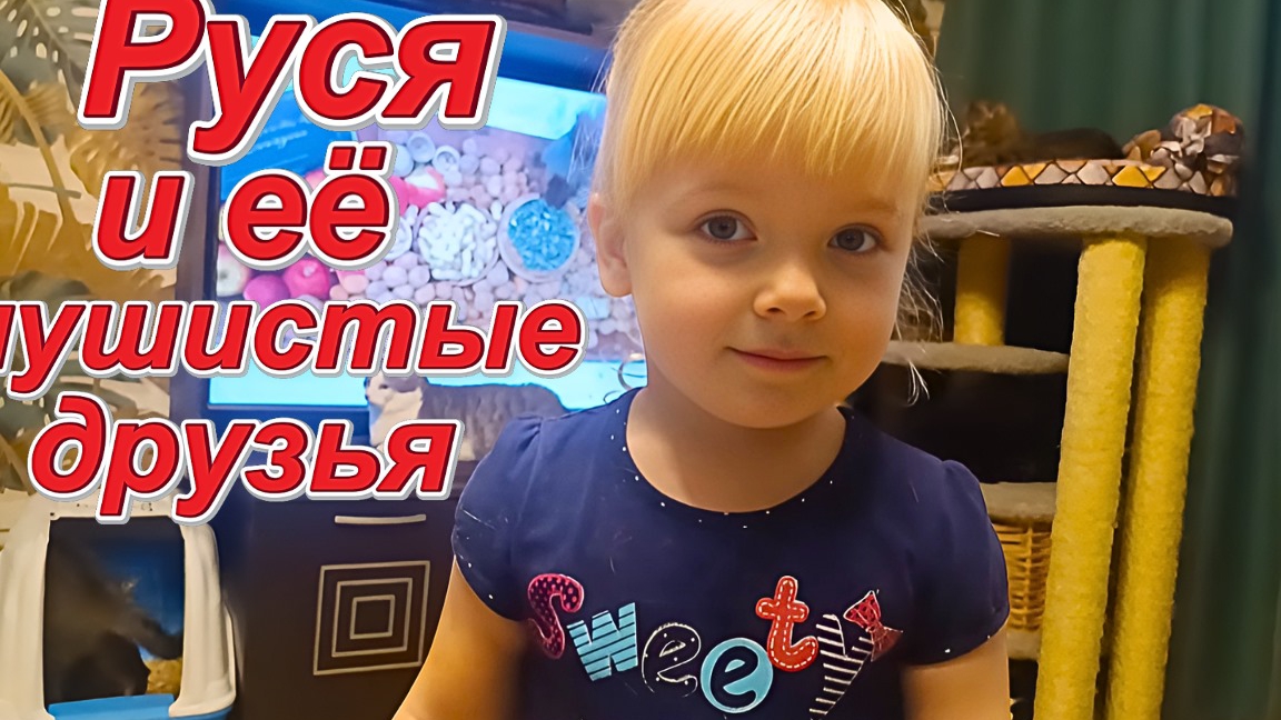 Руся и её пушистые друзья. смотреть онлайн