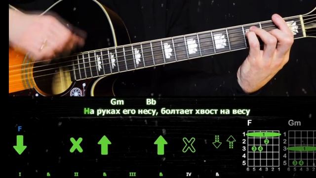 Bóbr на гитаре