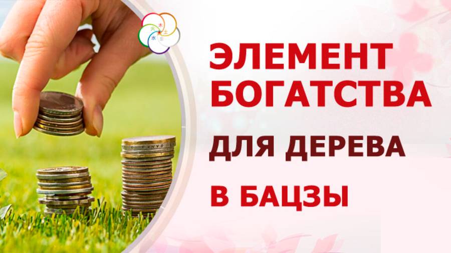 ДЕРЕВО + ДЕНЬГИ в Бацзы: Как укоренить финансовую удачу в 9 периоде смотреть онлайн