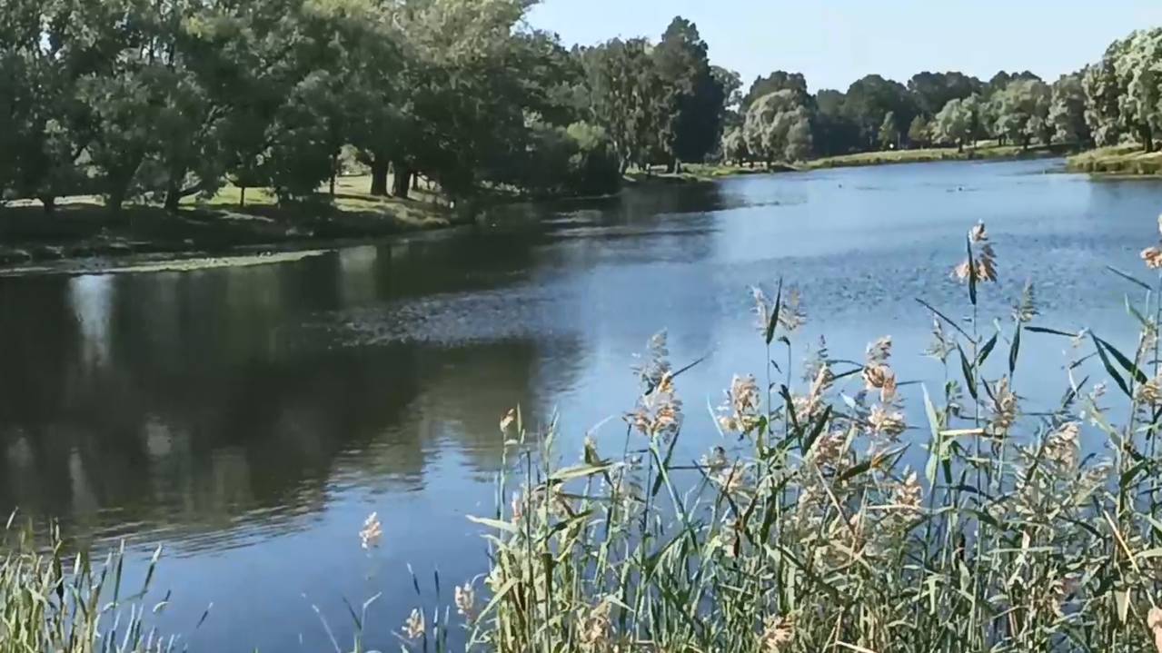 Прогулка в Муринский парк