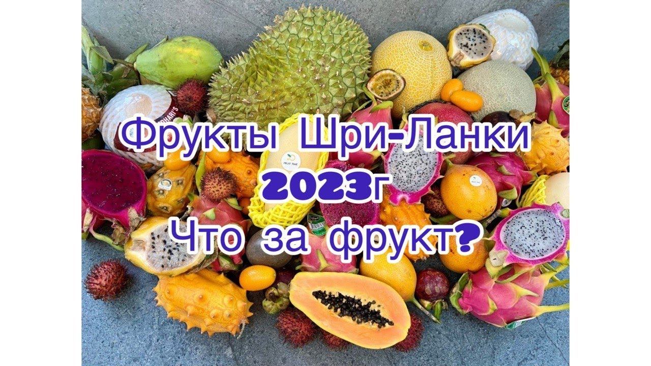 Экзотические фрукты Шри-Ланки. Чем полезны, как их едят и сколько стоят в 2023 году. смотреть онлайн