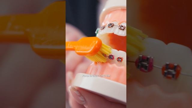 Revyline Ортонабор Dental Kit в пенале размер S смотреть онлайн