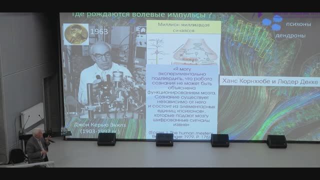 Свободная воля или человеком управляют? Эксперименты ученых