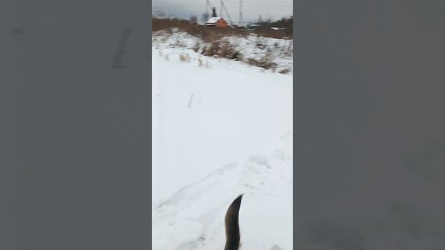 Мудрость Атоса номер 2 смотреть онлайн