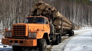 Лесовоз UZA-520#Хлыстовая вывозка леса 2024-год