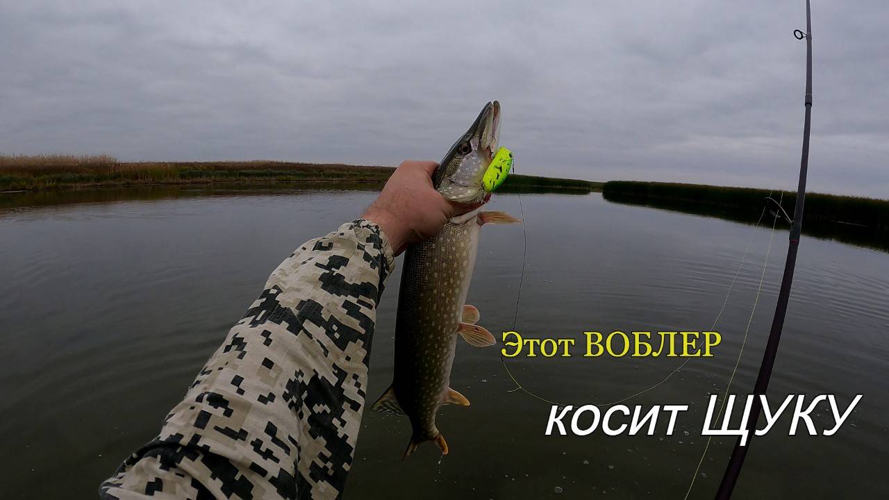 Осенняя рыбалка. Щучка с утра отказывалась ловиться, но поставил эту приманку и понеслось. смотреть онлайн