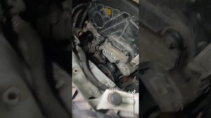 замена ремня и роликов Опель зафира B ( Zafira)