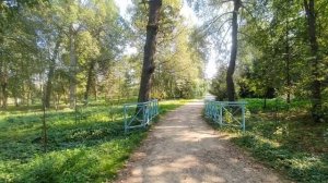 Дорогой Достоевского и Чайковского  к Амвросию Оптинскому.