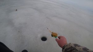 16.01.25. Зеленогорск