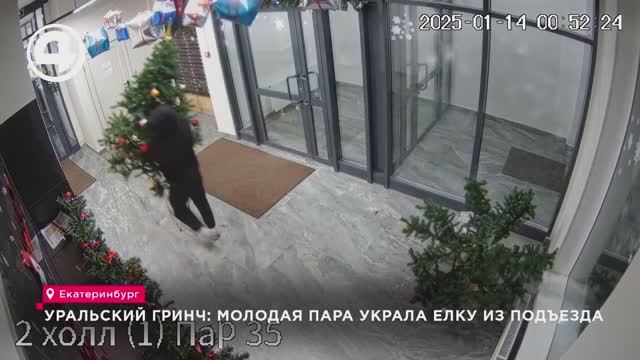 Уральский Гринч: молодая пара украла елку из подъезда смотреть онлайн