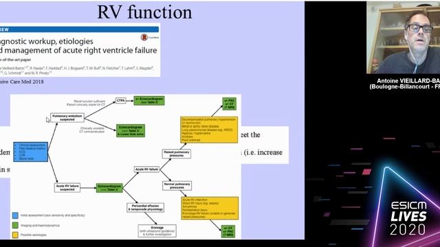 I need only echocardiography Antoine Vieillard-Baron 2020