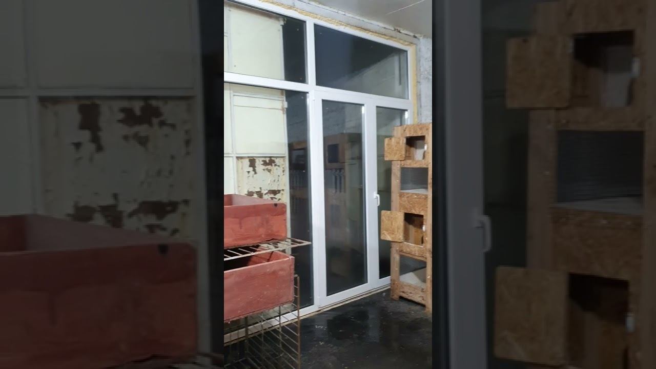 Питомник редких пород кур,Беларусь, Атрощенко Елен