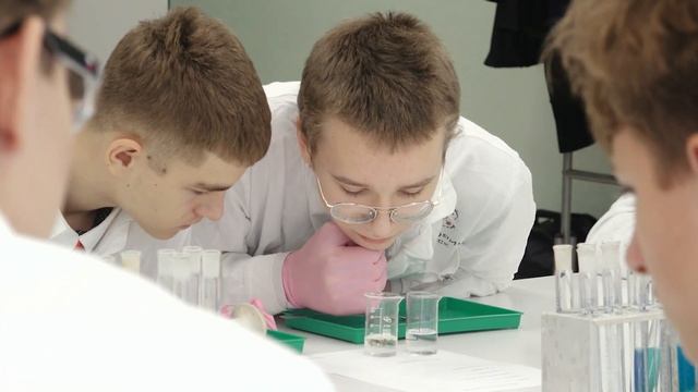 Что такое профессиональные пробы? смотреть онлайн