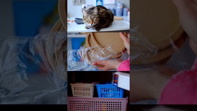 Про сериал Ландыши смотреть онлайн