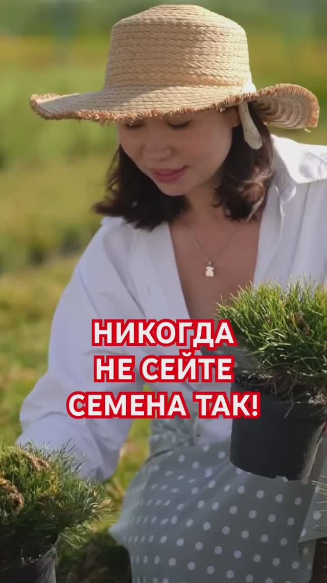 САМАЯ ЧАСТАЯ ошибка при посеве семян смотреть онлайн