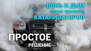 Как избавиться от вони и дыма после удаления катализаторов! Есть недорогое и простое решение.
