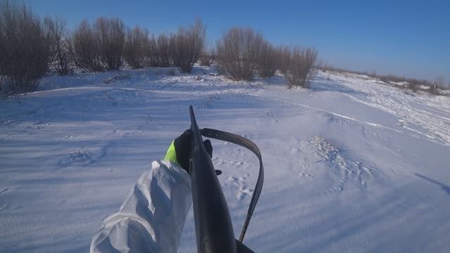 Охота на зайца январь 2025 год.