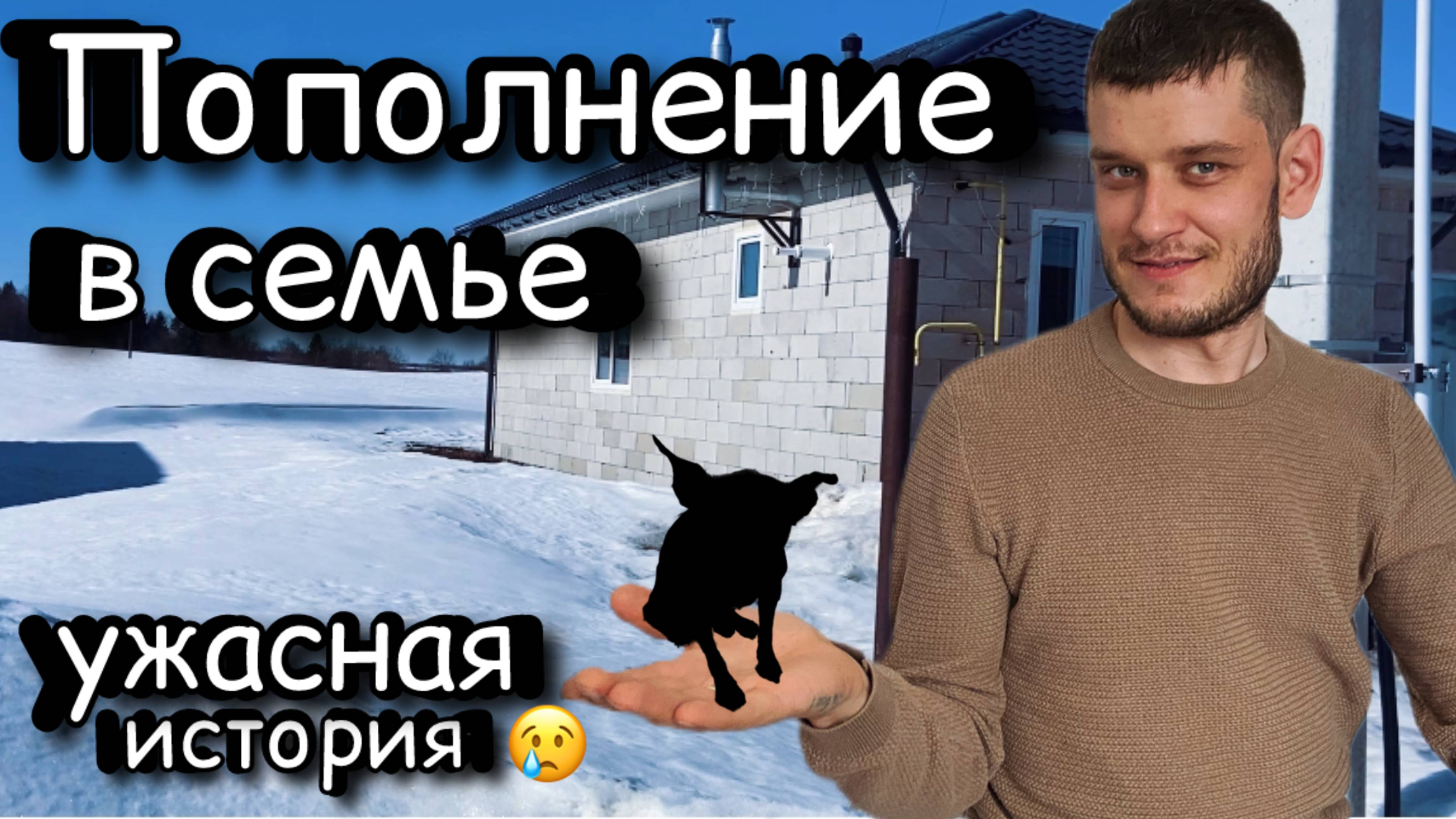 Пополнение в семье
