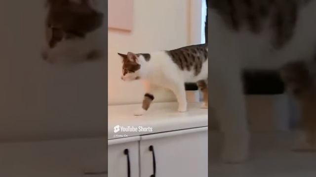 КОЛЬ-ОК (13) смотреть онлайн