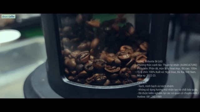 Test Coffee Beans Robusta Vietnam Roaster  - 100gram