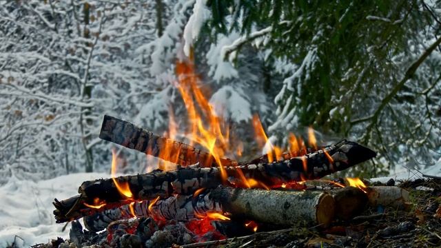 Зимний лесной костер. Настоящие звуки и расслабляющее настроение. смотреть онлайн