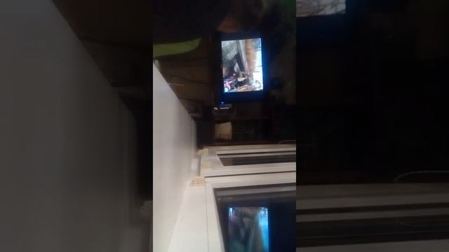Сталкер смотреть онлайн