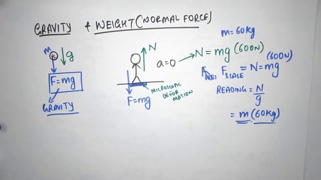 Newton's Laws Episode 4 (Gravity and Normal Force) смотреть онлайн
