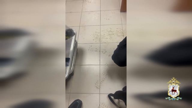 Нижегородские полицейские задержали злоумышленника за покушение на сбыт наркотических средств. смотреть онлайн