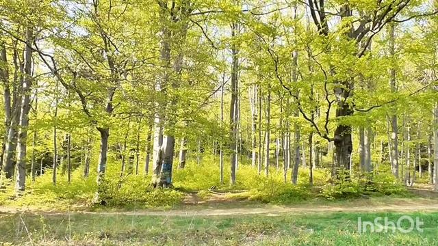 Марина Соколова/Обзор. смотреть онлайн