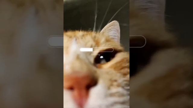 ПРОВЕРКА НА ДУШНОСТЬ смотреть онлайн