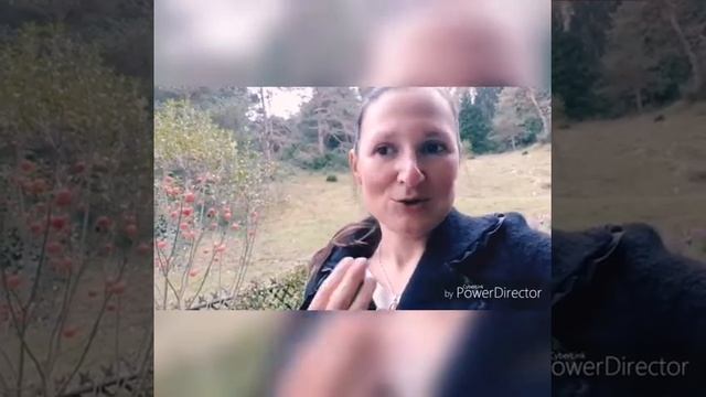 2 модуль Алла Пилипюк: мої враження смотреть онлайн