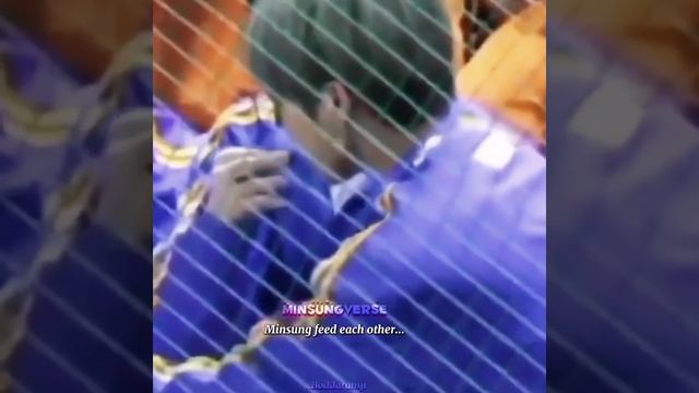 Stray Kids & Minsung