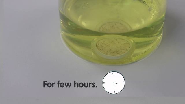 How to clean the ceramic disk of CO2 diffuser? смотреть онлайн