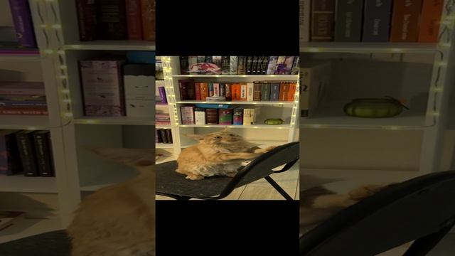 Мой сетик 😍🥰💜 смотреть онлайн