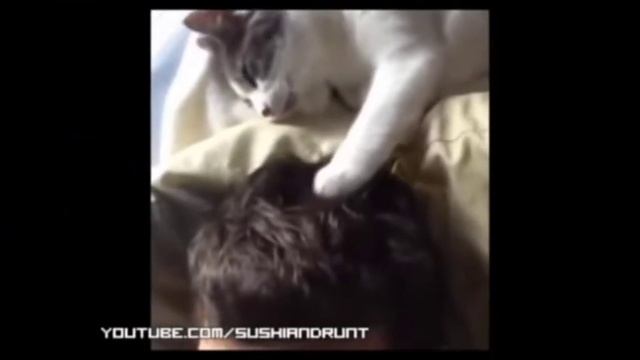 топ 8 фото который напугают вас: смотреть онлайн