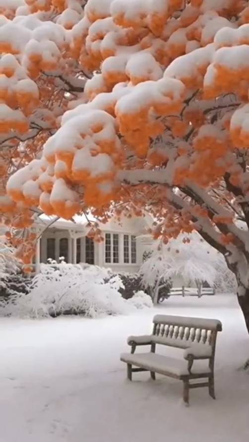 Цените моменты ... смотреть онлайн