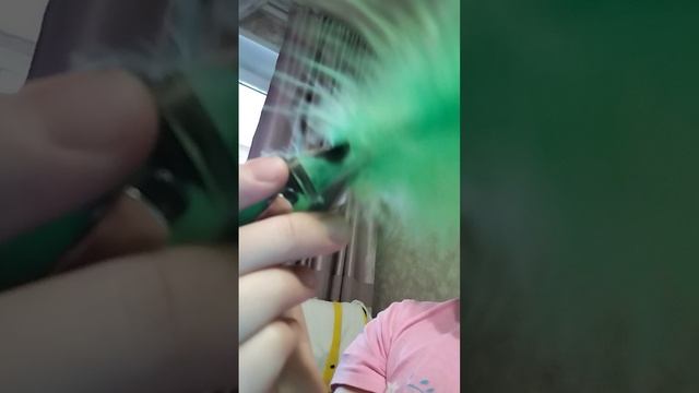 пенни и грэн