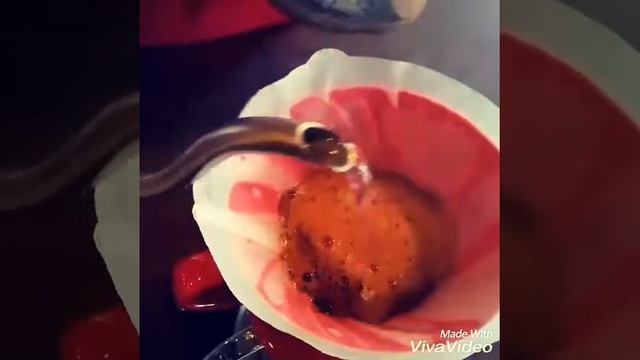Nitelikli kahveci Coffeetopia' da V60 ile kahve nasıl demlenir? Keşfettik смотреть онлайн