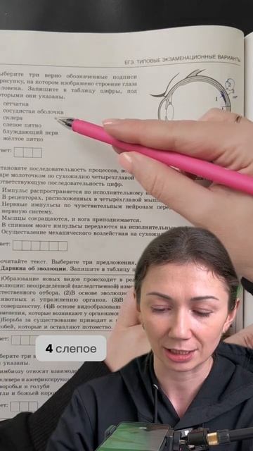 Разбираем очередное задание из сборника Рохлова 2024 🤗 смотреть онлайн