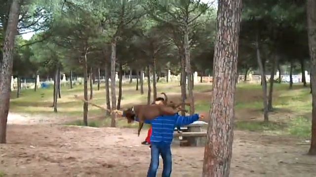 turco escalando ( stanford americano ) 2 смотреть онлайн