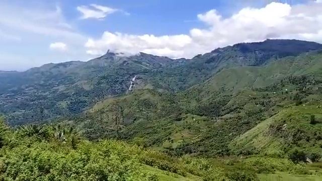 1 acer 40 cent commercial land for sale in poombarai at kodaikanal смотреть онлайн